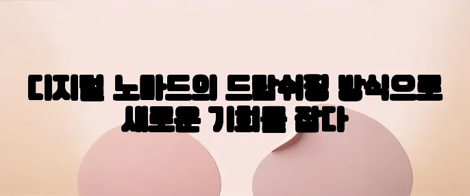 디지털 노마드의 드랍쉬핑 방식으로 새로운 기회를 잡다