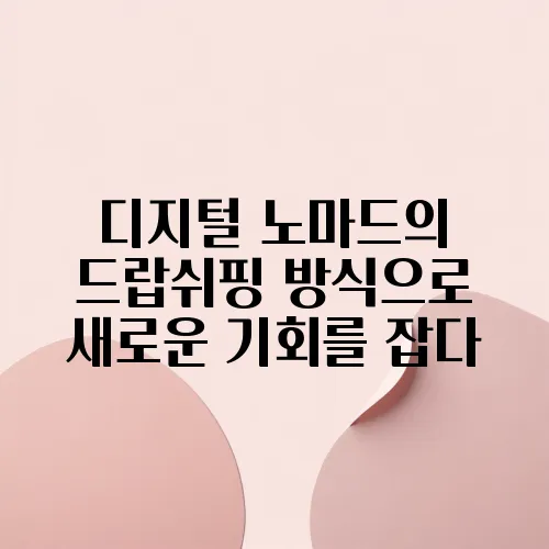 디지털 노마드의 드랍쉬핑 방식으로 새로운 기회를 잡다